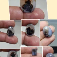 انواع نگین شجر قائن  و عقیق سوسنی|جواهرات|رشت, بازار|دیوار