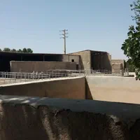 دامداری پرواری با سند ۶ دانگ  پروانه ۱۲۰ راسی|فروش دفتر صنعتی، کشاورزی، تجاری|ورامین, ورامین|دیوار