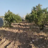 باغشهری(باغ شهری) کنتور آب و برق ۲۴ ساعته دارنگون|فروش زمین و ملک کلنگی|شیراز, تلخ داش|دیوار