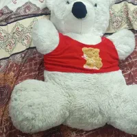 خرسی خیلی بزرگ