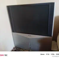 تلویزیون