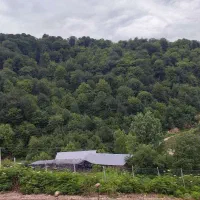 زمین و باغ روستایی ۲۰۰ الی ۶۰۰ متر در شمال(ساری)