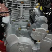 عتیقه|کلکسیون اشیاء عتیقه|تربت جام, جامی|دیوار