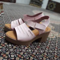 کفش زنانه|کیف، کفش، کمربند|شیراز, شهرک سعدی|دیوار