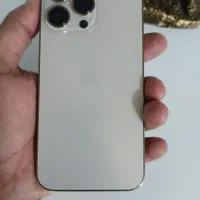 13PRO 256