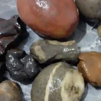 سکه سنگ قدیمی|کلکسیون سکه، تمبر، اسکناس|آشخانه, |دیوار