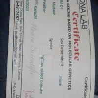 گرینچیک مولد|پرنده|قم, تولید دارو و یخچال|دیوار