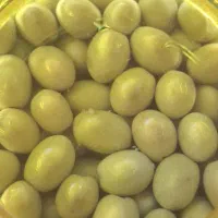 فروش عمده زیتون سوپر صادراتی