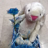 عروسک|اسباب‌بازی بچه|محمدیه-قزوین, |دیوار