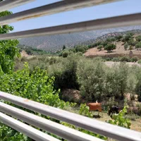 اجاره باغ ویلا جنگلی لب رودخانه