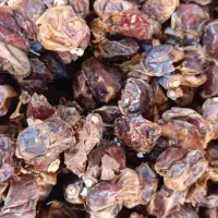 فروش فروش ..خرما و .شیره انگور .|خوردنی و آشامیدنی|بهار, |دیوار