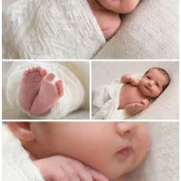 ۱هدا تخمک‌ رحم جایگزین تعداد بالا