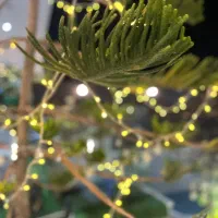 فروش ویلا شهرکی ۶۰۰ متری /۴ خواب/پلاک دریا