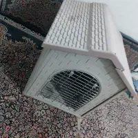 لونه سگ،و سایر حیوانات