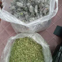 دم نوش گیاهی