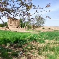 باغ-کشاورزی-با-دیوار-وبدون-دیوار