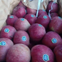 ۲/۵تن سیب ترگور درجه یک کوهستانی قرمز و سفید