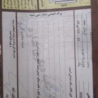 خودرو|خودرو سواری و وانت|تربت‌حیدریه, حاجی یار‎|دیوار