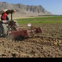 زمین کشاورزی لیشتر گچساران برا اجاره (۷ هکتار)