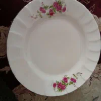 گل قرمزی|ظروف سرو و پذیرایی|اصفهان, ارداجی|دیوار