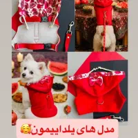 پت شاپ سزار