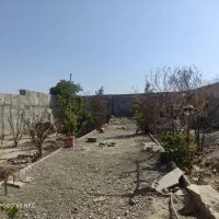 چهار-دیواری-باغی