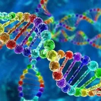 کلاس زیست شناسی به سبک نوین