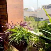 ۱۵۰ متر تک واحدی/فرمانیه غربی ابکوهها|فروش آپارتمان|تهران, کامرانیه|دیوار