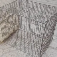 قفس