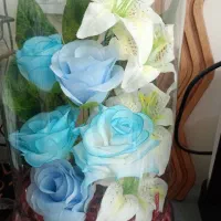 سالم و ۵ گل رز آبی