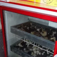 دستگاه جوجه کشی