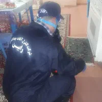 سمپاشی و کنترل افات بهداشتی ( سوسک ساس ...|خدمات نظافت|فاضل آباد, |دیوار