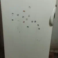 یخچال فزیزر