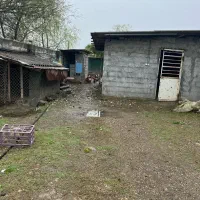 زمین کشاورزی و گلخانه۲۸۰۰متر|اجارهٔ دفتر صنعتی، کشاورزی، تجاری|عباس‌آباد, |دیوار