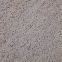 برنج هاشمی سورتینگ شده در صومعه سرا