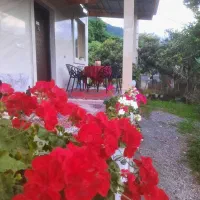 ویلا جنگلی کنار رودخانه جاده ییلاق السبلنگاه