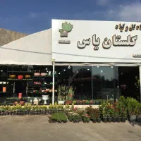 فروشنده و صندوقدار|استخدام خدمات فروشگاه و رستوران|قم, آزادگان|دیوار