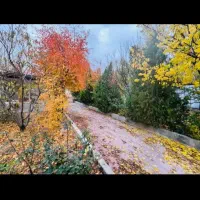 اجاره باغ ویلا