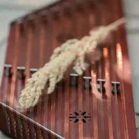کوک،تعویض سیم،تدریس سنتور