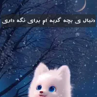 گربه
