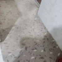 مقداری موکت سالم وتمیز|موکت|یزد, |دیوار