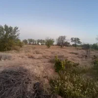 ۱۵۰۰ متر مربع زمین میمه به جوشقان چاه صاحب الزمان|فروش زمین و ملک کلنگی|میمه, |دیوار