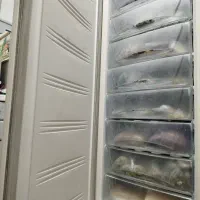 یخچال فریزر امرسان|یخچال و فریزر|کرج, گلشهر|دیوار