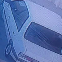 اردی مدل ۸۱