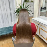 مدل برای احیا و صافی تعداد محدود