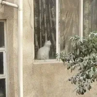 69متر-کلنگی-مناسب-ساخت-کارون-بالای-هاشمی