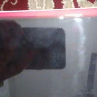 گوشی شیائومی ردمی a5|موبایل|سوسنگرد, |دیوار