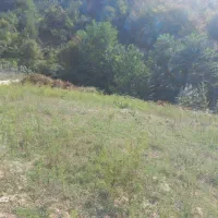 فروش زمین جنگلی و باغی با ویو عالی|فروش زمین و ملک کلنگی|بهشهر, |دیوار