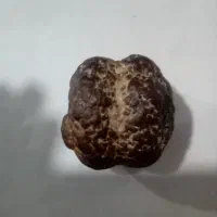 شهاب سنگ