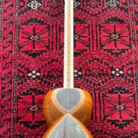 تار|سازهای سنتی|سبزوار, پیام|دیوار